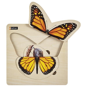 Image de Le papillon - Puzzle Cycle de vie