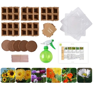 Image de KIT DE GRAINES Fleurs Bio