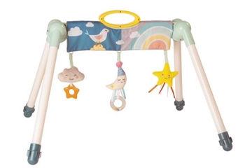 Image de Portique Mini Moon