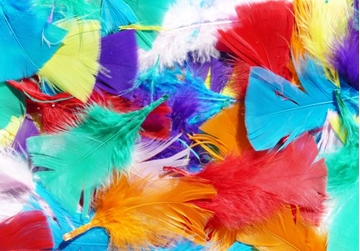 Image de Plumes de couleurs assorties