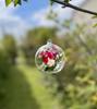 Image sur Boule en verre ouverte