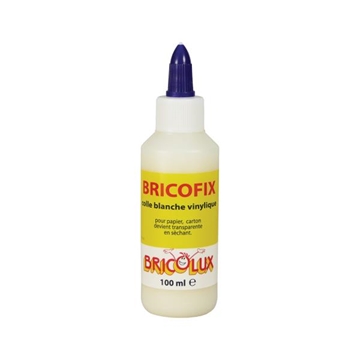 Image de Bricofix 100 ml