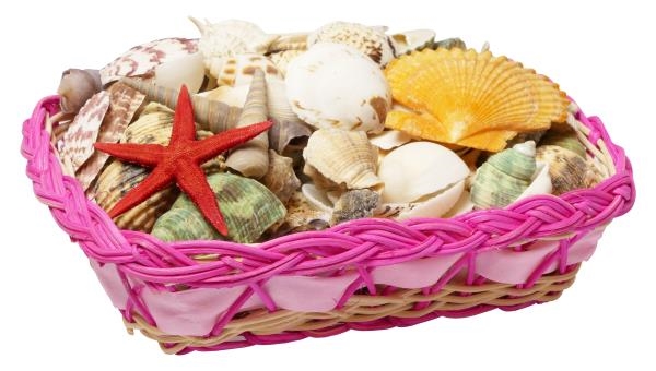 Image sur Coquillages, 1 kg