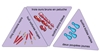 Image sur Schubitrix lecture 1, vocabulaire et comptage