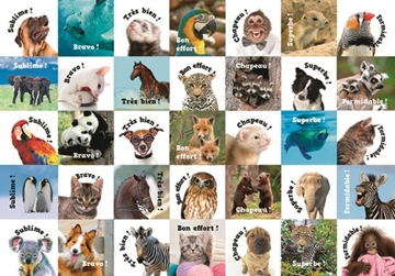 Image de Etiquettes récompenses : les animaux