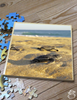 Image sur Puzzle Le cycle de la vie de la tortue