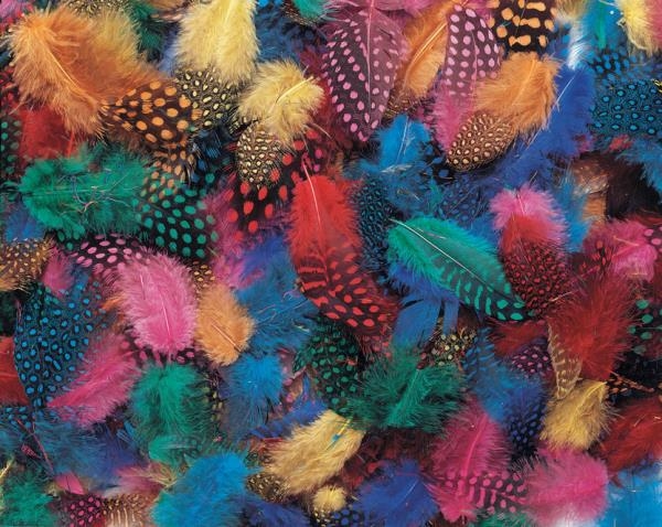 Image sur Plumes fantaisies, les 350