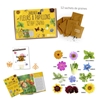 Image sur Kit papillons et abeilles au jardin