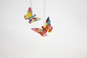 Image de Corps de papillon, les 5
