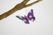 Image de Corps de papillon, les 5