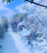 Image de Boule en verre ouverte