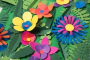 Image de Coupes botaniques