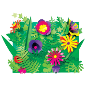 Image de Coupes botaniques