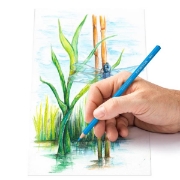 Image de Crayons de couleur aquarellables, boîte de 12