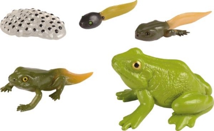 Image de la catégorie Environnement