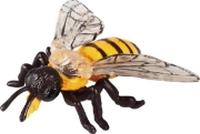 Image de Développement de l'abeille