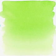 Image de Ecoline Talens 490 ml Vert clair