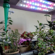 Image de Kit Serre Horticole - Cycle 3