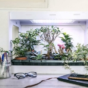 Image de Kit Serre Horticole - Cycle 3