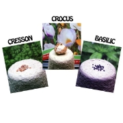 Image de Kit Serre Horticole - Cycle 3