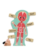 Image de Maxi-puzzles - Découvre et identifie le corps humain