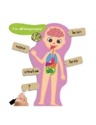 Image de Maxi-puzzles - Découvre et identifie le corps humain