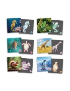 Image de Maxi-memory - Les animaux vertébrés et leur squelette