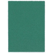 Image de Papier vivelle vert fonce