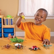Image de Insectes géants