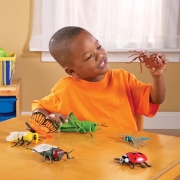 Image de Insectes géants