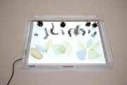 Image de Plateau transparent A3