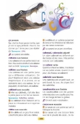 Image de Dictionnaire Larousse des débutants 6/8 ans