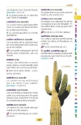Image de Dictionnaire Larousse des débutants 6/8 ans
