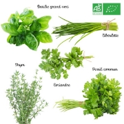 Image de KIT DE GRAINES Aromatiques Bio
