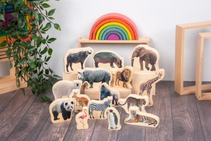 Image de la catégorie Environnement