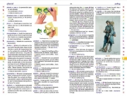 Image de Dictionnaire Larousse Junior de poche 7/11 ans