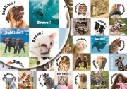 Image de Etiquettes récompenses : les animaux