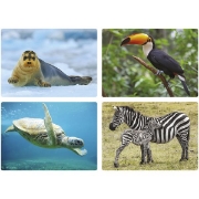 Image de Imagier photos - Les animaux