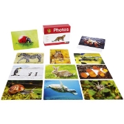 Image de Imagier photos - Les animaux