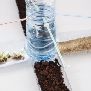 Image de Je recycle mes bouteilles d'eau à l'école