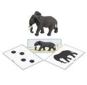 Image de Jeu de vocabulaire - les animaux sauvages