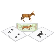 Image de Jeu de vocabulaire - les animaux de la forêt