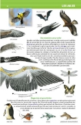 Image de 
Le dictionnaire Larousse Super Major - 9/12 ans