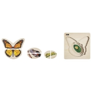 Image de Le papillon - Puzzle Cycle de vie