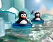 Image de Les pingouins plongeurs