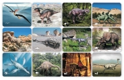Image de Les radiographies des dinosaures