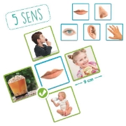 Image de Les 5 sens