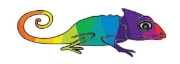 Image de Mosaïques de roue de couleur