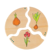 Image de Puzzle Cycles d'évolution
