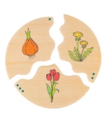 Image de Puzzle Cycles d'évolution